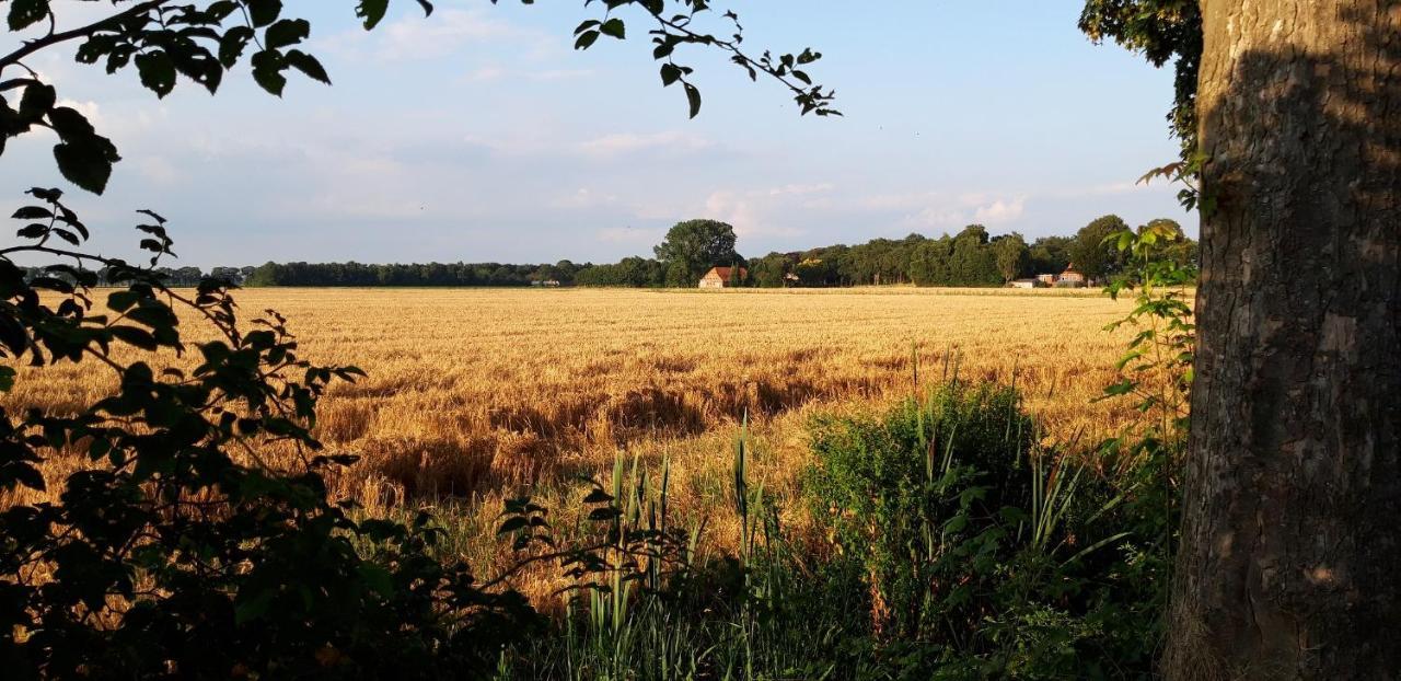 Slaaphuisjes Op Wielen Buitenwedde Westerwolde Eksteriør bilde